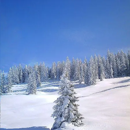Haus Idili Appartamento