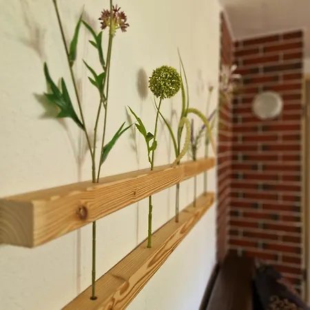Appartamento Haus Idili Sankt Gallenkirch